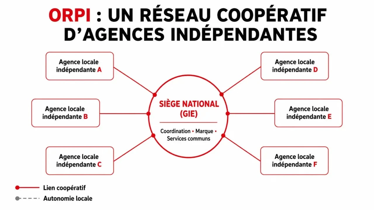 Schéma explicatif de la structure coopérative du réseau Orpi pour comprendre les avis clients